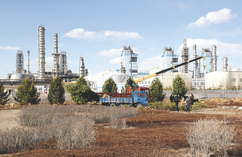 龙珠直播平台展示